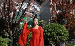 2022狂飙电视剧全集免费播放